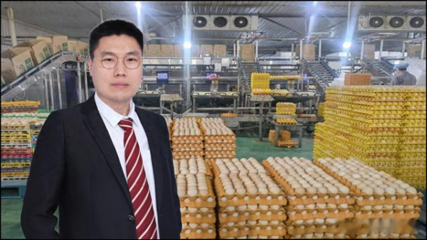 配资炒股炒股 鸡蛋价格可能再跌两个月