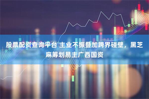 股票配资查询平台 主业不振叠加跨界碰壁，黑芝麻筹划易主广西国资