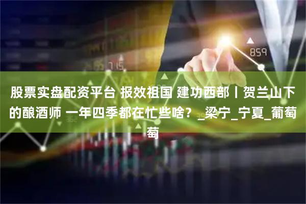 股票实盘配资平台 报效祖国 建功西部丨贺兰山下的酿酒师 一年四季都在忙些啥？_梁宁_宁夏_葡萄